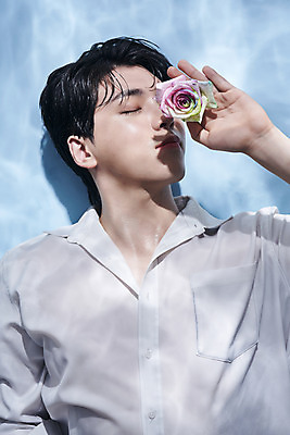 포토 JPG 스튜디오촬영 남자 셔츠 실내 한명 들기 상반신 20대 성인 앞모습 뷰티 장미 한국인 파란배경 얼굴가리기 의료성형뷰티 성인남자한명만 젠더리스 젠더 국내포토 1 패션 꽃 뷰포인트 백그라운드 상의 모션 사람 동양인 청년 내부 파란색 가림 남자한명만 성인남자만 파일형식