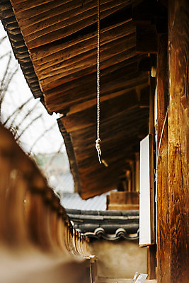 포토 JPG 주간 줄 한옥 사람없음 야외 대청 소프트포커스 경상북도 도산서원 안동 국내포토 자연요소 한국전통 고건축 촬영기법 경상도 서원 파일형식