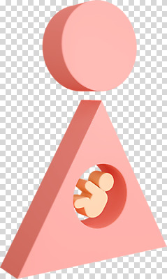 편집 편집이미지 누끼 사람없음 3D소스 3D 임산부 임신 디지털합성 태아 PNG 성교육 편집소스 교육 파일형식