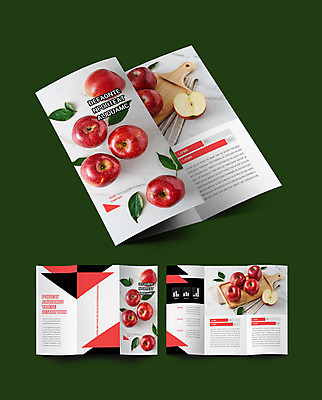템플릿 표지디자인 표지 ZIP 내지 리플렛 과일 3단접지 그래프 팜플렛 사람없음 흰색 사과 천 구독 나무도마 구독경제 이미지템플릿 AI파일 컬러 도마 목재 경제 직물 파일형식 벡터
