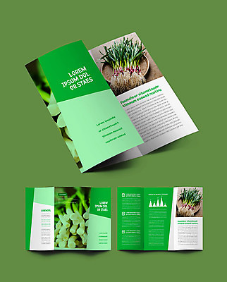 템플릿 표지디자인 표지 ZIP 내지 리플렛 채소 식재료 3단접지 팜플렛 사람없음 초록색 구독 마늘종 구독경제 풋마늘 이미지템플릿 AI파일 줄기 컬러 마늘 경제 파일형식 벡터