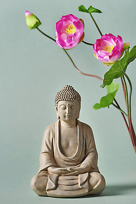 포토 JPG 스튜디오촬영 전통 불교 실내 연꽃 사람없음 부처님오신날 불상 불교용품 연잎 오브젝트 부처 민트색배경 국내포토 기념일 꽃 종교 백그라운드 잎 종교용품 내부 민트색 파일형식