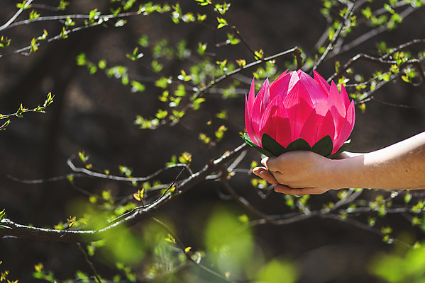 포토 JPG 주간 전통 손 불교 연꽃 들기 야외 아웃포커스 신체부위 봄 부처님오신날 나뭇가지 소프트포커스 불교용품 연등 청계산 국내포토 자연요소 나무 계절 기념일 꽃 종교 종교용품 모션 산 촬영기법 사람 등불 파일형식