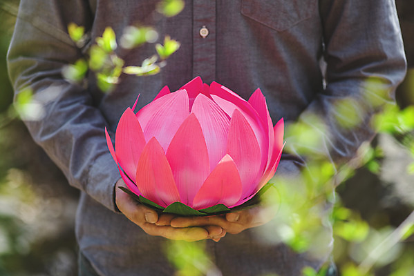 포토 JPG 주간 전통 손 남자 불교 연꽃 한명 들기 상반신 20대 성인 야외 앞모습 아웃포커스 봄 한국인 부처님오신날 소프트포커스 불교용품 연등 성인남자한명만 청계산 국내포토 자연요소 1 계절 기념일 꽃 종교 뷰포인트 종교용품 모션 산 촬영기법 사람 동양인 청년 신체부위 등불 남자한명만 성인남자만 파일형식