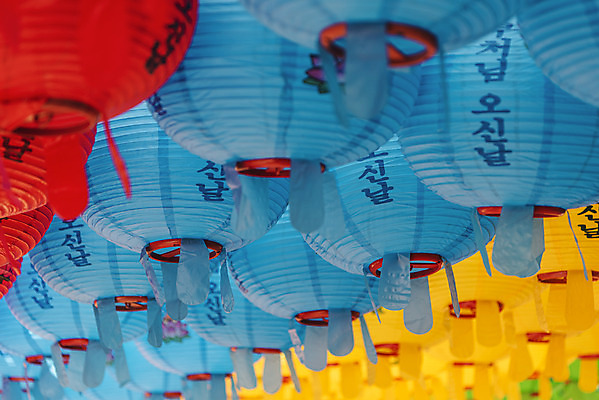 포토 JPG 주간 전통 불교 매달리기 사람없음 야외 부처님오신날 가득함 불교용품 오브젝트 연등 국내포토 자연요소 기념일 종교 종교용품 모션 등불 파일형식