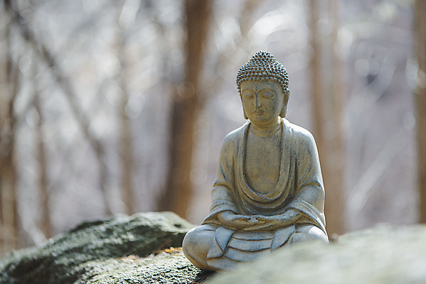 포토 JPG 주간 전통 불교 사람없음 야외 아웃포커스 부처님오신날 바위 불상 불교용품 오브젝트 부처 청계산 국내포토 자연요소 기념일 종교 종교용품 산 촬영기법 돌_바위 파일형식