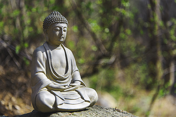 포토 JPG 주간 전통 불교 사람없음 야외 아웃포커스 부처님오신날 바위 불상 불교용품 오브젝트 부처 청계산 국내포토 자연요소 기념일 종교 종교용품 산 촬영기법 돌_바위 파일형식