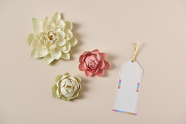 포토 JPG 스튜디오촬영 전통 종이 불교 실내 연꽃 사람없음 하이앵글 부처님오신날 불교용품 오브젝트 플랫레이 분홍색배경 국내포토 기념일 꽃 종교 뷰포인트 분홍색 백그라운드 종교용품 내부 플랫 파일형식