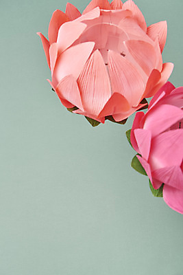 포토 JPG 스튜디오촬영 전통 불교 실내 연꽃 사람없음 부처님오신날 불교용품 오브젝트 연등 민트색배경 국내포토 기념일 꽃 종교 백그라운드 종교용품 내부 등불 민트색 파일형식