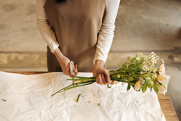 포토 JPG 우먼라이프 여자 꽃다발 실내 한명 들기 상반신 20대 성인 취미 앞모습 한국인 자르기 힐링 조경가위 싱글라이프 성인여자한명만 국내포토 1 라이프스타일 꽃 뷰포인트 모션 가위_도구 사람 동양인 청년 내부 여자한명만 성인여자만 파일형식