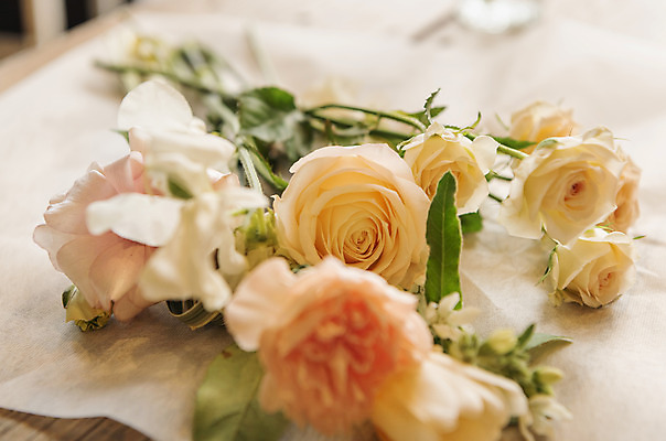 포토 JPG 꽃다발 실내 근접촬영 취미 사람없음 아웃포커스 장미 포장지 힐링 국내포토 꽃 뷰포인트 포장 촬영기법 내부 파일형식