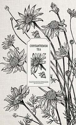 PSD 일러스트 국화 사람없음 라벨 국화차 꽃차 한방차 국내일러스트 꽃 프레임 차_음료 전통차 파일형식