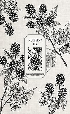 PSD 일러스트 사람없음 라벨 오디 한방차 국내일러스트 열매 프레임 차_음료 전통차 파일형식