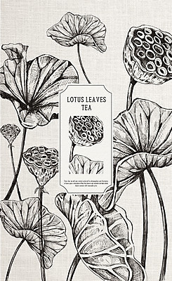 PSD 일러스트 사람없음 라벨 연잎 연꽃차 연밥 한방차 국내일러스트 잎 프레임 연꽃 차_음료 전통차 꽃차 파일형식