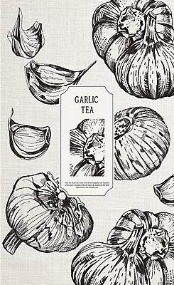 PSD 일러스트 마늘 사람없음 라벨 한방차 마늘차 국내일러스트 채소 프레임 차_음료 전통차 파일형식