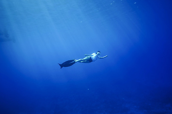 포토 JPG 전신 여자 바다 한명 성인 앞모습 30대 바닷속 수영 한국인 잠수부 사이판 성인여자한명만 수중사진 프리다이빙 국내포토 1 뷰포인트 사람 동양인 장년 수중 수상스포츠 오세아니아 전문직 여자한명만 성인여자만 파일형식