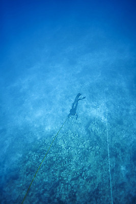 포토 JPG 전신 남자 바다 한명 성인 뒷모습 30대 바닷속 수영 한국인 잠수부 사이판 성인남자한명만 수중사진 프리다이빙 국내포토 1 뷰포인트 사람 동양인 장년 수중 수상스포츠 오세아니아 전문직 남자한명만 성인남자만 파일형식