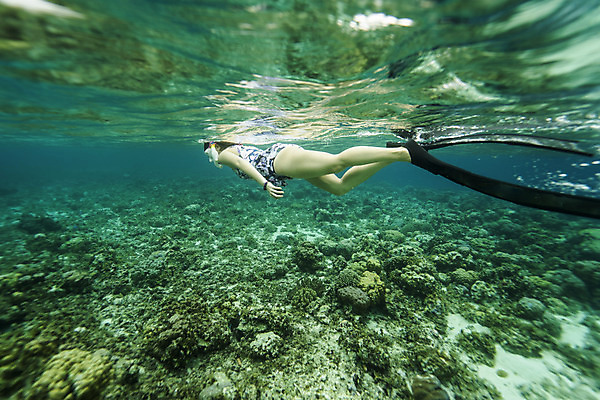 포토 JPG 전신 여자 바다 한명 성인 옆모습 30대 바닷속 수영 한국인 돌_바위 성인여자한명만 수중사진 프리다이빙 국내포토 1 뷰포인트 사람 동양인 장년 수중 수상스포츠 여자한명만 성인여자만 파일형식