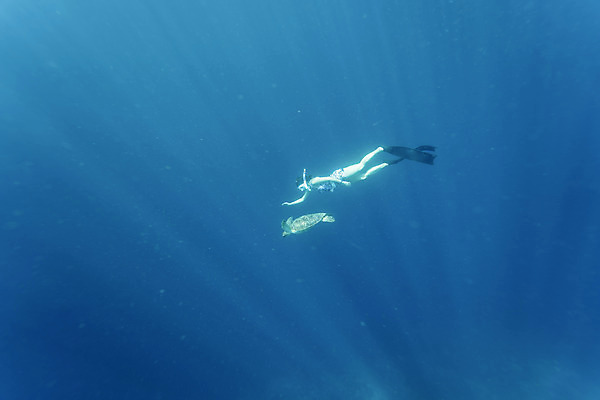 포토 JPG 전신 여자 바다 한명 성인 옆모습 30대 바닷속 수영 한국인 성인여자한명만 수중사진 프리다이빙 국내포토 1 뷰포인트 사람 동양인 장년 수중 수상스포츠 여자한명만 성인여자만 파일형식