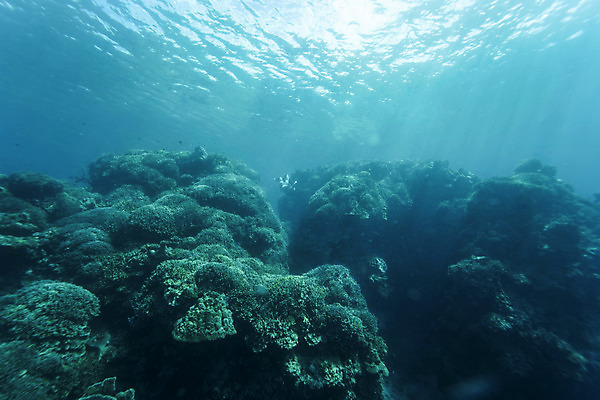 포토 JPG 전신 여자 바다 한명 성인 앞모습 30대 바닷속 수영 한국인 돌_바위 잠수부 성인여자한명만 수중사진 프리다이빙 국내포토 1 뷰포인트 사람 동양인 장년 수중 수상스포츠 전문직 여자한명만 성인여자만 파일형식