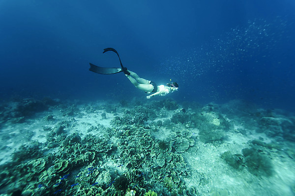 포토 JPG 전신 여자 바다 한명 성인 옆모습 30대 바닷속 수영 한국인 잠수부 성인여자한명만 수중사진 프리다이빙 국내포토 1 뷰포인트 사람 동양인 장년 수중 수상스포츠 전문직 여자한명만 성인여자만 파일형식