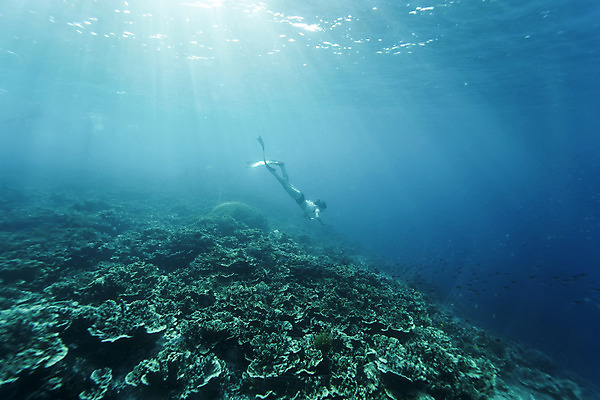 포토 JPG 전신 여자 바다 한명 성인 옆모습 30대 빛 바닷속 수영 한국인 잠수부 성인여자한명만 수중사진 프리다이빙 국내포토 1 뷰포인트 사람 동양인 장년 수중 수상스포츠 전문직 여자한명만 성인여자만 파일형식