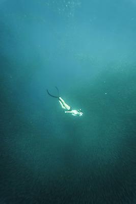 포토 JPG 전신 여자 바다 한명 성인 옆모습 30대 바닷속 수영 한국인 잠수부 성인여자한명만 수중사진 물고기떼 프리다이빙 국내포토 1 뷰포인트 어류 사람 동양인 장년 수중 수상스포츠 전문직 여자한명만 성인여자만 파일형식