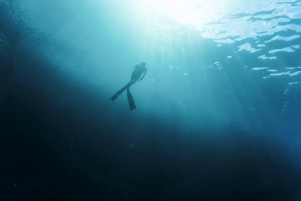 포토 JPG 전신 남자 실루엣 바다 한명 성인 뒷모습 30대 빛 바닷속 수영 한국인 잠수부 성인남자한명만 수중사진 프리다이빙 국내포토 1 뷰포인트 촬영기법 사람 동양인 장년 수중 수상스포츠 전문직 남자한명만 성인남자만 파일형식