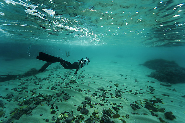 포토 JPG 전신 남자 바다 한명 성인 옆모습 30대 바닷속 수영 한국인 잠수부 성인남자한명만 수중사진 프리다이빙 국내포토 1 뷰포인트 사람 동양인 장년 수중 수상스포츠 전문직 남자한명만 성인남자만 파일형식