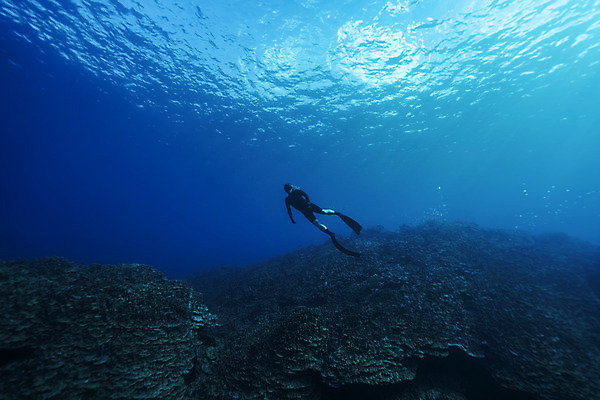 포토 JPG 전신 남자 바다 한명 성인 옆모습 30대 바닷속 수영 한국인 잠수부 사이판 성인남자한명만 수중사진 프리다이빙 국내포토 1 뷰포인트 사람 동양인 장년 수중 수상스포츠 오세아니아 전문직 남자한명만 성인남자만 파일형식