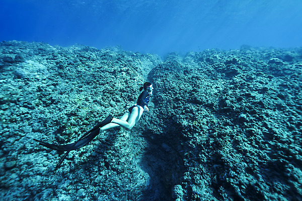 포토 JPG 전신 여자 바다 한명 성인 옆모습 30대 바닷속 수영 한국인 잠수부 사이판 성인여자한명만 수중사진 프리다이빙 국내포토 1 뷰포인트 사람 동양인 장년 수중 수상스포츠 오세아니아 전문직 여자한명만 성인여자만 파일형식