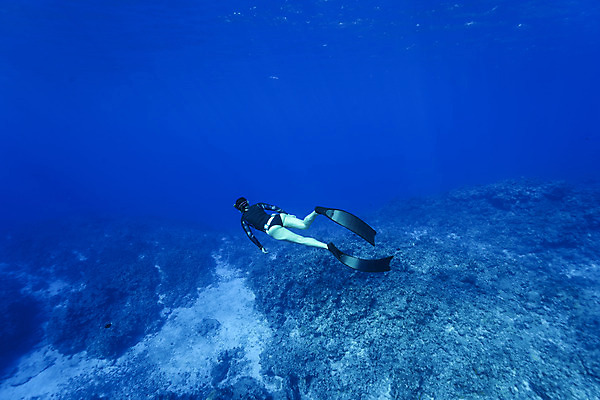 포토 JPG 전신 여자 바다 한명 성인 뒷모습 30대 바닷속 수영 한국인 잠수부 사이판 성인여자한명만 수중사진 프리다이빙 국내포토 1 뷰포인트 사람 동양인 장년 수중 수상스포츠 오세아니아 전문직 여자한명만 성인여자만 파일형식