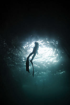 포토 JPG 전신 남자 실루엣 바다 한명 성인 옆모습 30대 빛 바닷속 수영 한국인 잠수부 울릉도 성인남자한명만 수중사진 프리다이빙 국내포토 1 뷰포인트 섬 촬영기법 사람 동양인 장년 수중 수상스포츠 전문직 경상북도 남자한명만 성인남자만 파일형식