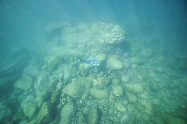 포토 JPG 전신 여자 바다 한명 성인 뒷모습 30대 바닷속 수영 한국인 잠수부 울릉도 성인여자한명만 수중사진 프리다이빙 국내포토 1 뷰포인트 섬 사람 동양인 장년 수중 수상스포츠 전문직 경상북도 여자한명만 성인여자만 파일형식