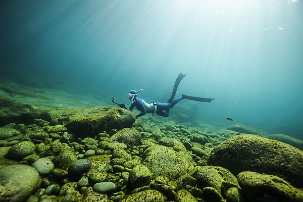포토 JPG 전신 여자 바다 한명 성인 옆모습 30대 바닷속 수영 한국인 돌_바위 잠수부 울릉도 성인여자한명만 수중사진 프리다이빙 국내포토 1 뷰포인트 섬 사람 동양인 장년 수중 수상스포츠 전문직 경상북도 여자한명만 성인여자만 파일형식