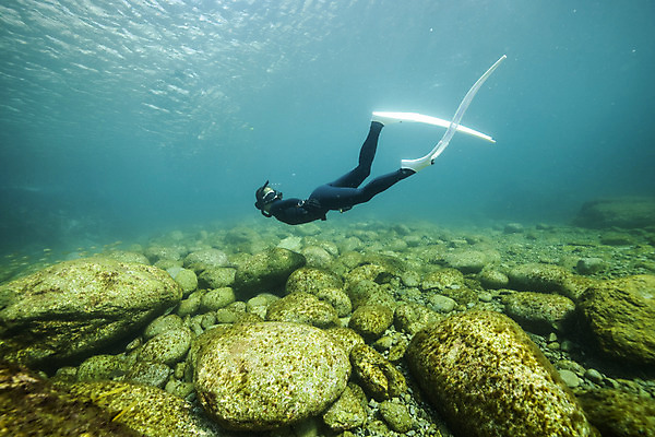 포토 JPG 전신 여자 바다 한명 성인 옆모습 30대 바닷속 수영 한국인 돌_바위 잠수부 울릉도 성인여자한명만 수중사진 프리다이빙 국내포토 1 뷰포인트 섬 사람 동양인 장년 수중 수상스포츠 전문직 경상북도 여자한명만 성인여자만 파일형식