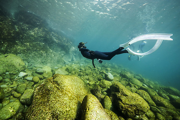 포토 JPG 전신 여자 바다 한명 성인 옆모습 30대 바닷속 수영 한국인 돌_바위 잠수부 울릉도 성인여자한명만 수중사진 프리다이빙 국내포토 1 뷰포인트 섬 사람 동양인 장년 수중 수상스포츠 전문직 경상북도 여자한명만 성인여자만 파일형식