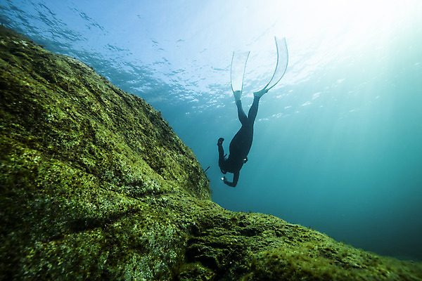 포토 JPG 전신 여자 바다 한명 성인 옆모습 30대 바닷속 수영 한국인 돌_바위 잠수부 울릉도 성인여자한명만 수중사진 프리다이빙 국내포토 1 뷰포인트 섬 사람 동양인 장년 수중 수상스포츠 전문직 경상북도 여자한명만 성인여자만 파일형식
