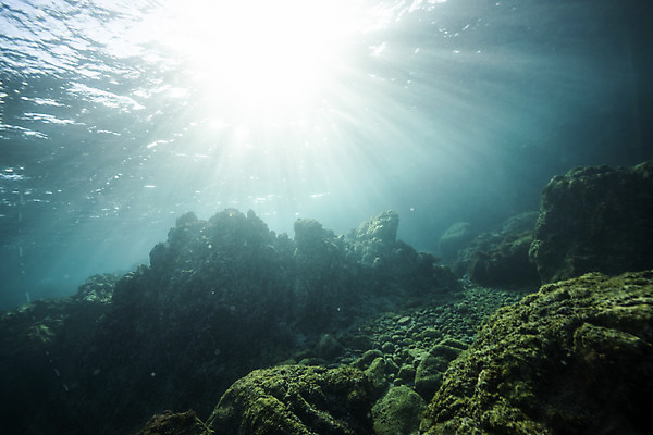 포토 JPG 바다 자연 풍경 사람없음 빛 제주도 바닷속 바위 수중사진 국내포토 한국 수중 돌_바위 생태계 파일형식
