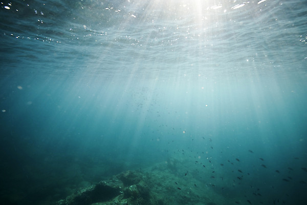 포토 JPG 바다 자연 풍경 사람없음 빛 바닷속 울릉도 수중사진 국내포토 섬 수중 경상북도 생태계 파일형식