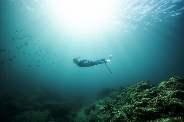 포토 JPG 전신 여자 바다 한명 성인 옆모습 30대 빛 바닷속 수영 한국인 돌_바위 잠수부 울릉도 성인여자한명만 수중사진 프리다이빙 국내포토 1 뷰포인트 섬 사람 동양인 장년 수중 수상스포츠 전문직 경상북도 여자한명만 성인여자만 파일형식
