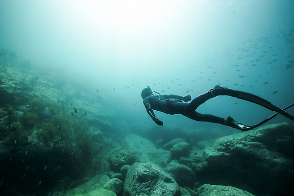 포토 JPG 전신 남자 바다 한명 성인 옆모습 30대 빛 바닷속 수영 한국인 잠수부 울릉도 성인남자한명만 수중사진 프리다이빙 국내포토 1 뷰포인트 섬 사람 동양인 장년 수중 수상스포츠 전문직 경상북도 남자한명만 성인남자만 파일형식