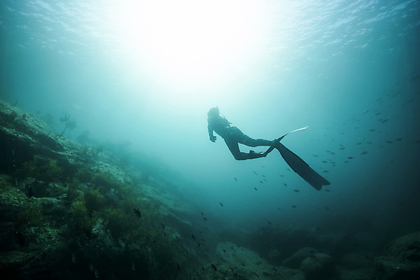 포토 JPG 전신 남자 바다 한명 성인 옆모습 30대 빛 바닷속 수영 한국인 돌_바위 잠수부 울릉도 성인남자한명만 수중사진 프리다이빙 국내포토 1 뷰포인트 섬 사람 동양인 장년 수중 수상스포츠 전문직 경상북도 남자한명만 성인남자만 파일형식