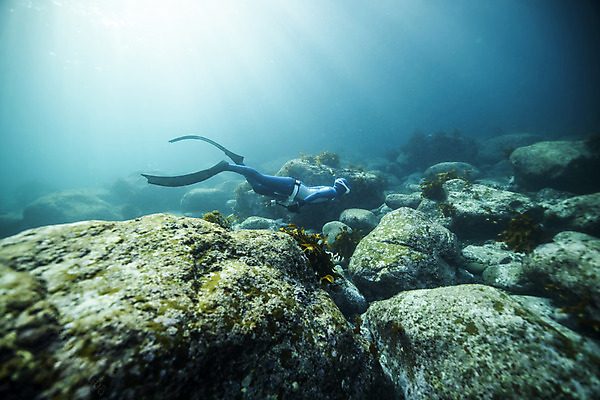 포토 JPG 전신 여자 바다 한명 성인 옆모습 30대 빛 바닷속 수영 한국인 돌_바위 잠수부 울릉도 성인여자한명만 수중사진 프리다이빙 국내포토 1 뷰포인트 섬 사람 동양인 장년 수중 수상스포츠 전문직 경상북도 여자한명만 성인여자만 파일형식