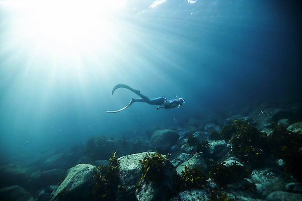 포토 JPG 전신 여자 바다 한명 성인 옆모습 30대 빛 바닷속 수영 한국인 돌_바위 잠수부 울릉도 성인여자한명만 수중사진 프리다이빙 국내포토 1 뷰포인트 섬 사람 동양인 장년 수중 수상스포츠 전문직 경상북도 여자한명만 성인여자만 파일형식