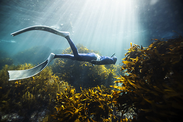 포토 JPG 전신 남자 바다 한명 성인 옆모습 30대 빛 바닷속 수영 한국인 잠수부 울릉도 성인남자한명만 수중사진 프리다이빙 국내포토 1 뷰포인트 섬 사람 동양인 장년 수중 수상스포츠 전문직 경상북도 남자한명만 성인남자만 파일형식