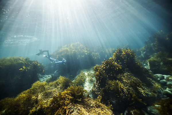 포토 JPG 전신 여자 바다 한명 성인 옆모습 30대 빛 바닷속 수영 한국인 잠수부 울릉도 성인여자한명만 수중사진 프리다이빙 국내포토 1 뷰포인트 섬 사람 동양인 장년 수중 수상스포츠 전문직 경상북도 여자한명만 성인여자만 파일형식