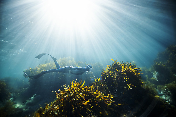 포토 JPG 전신 여자 바다 한명 성인 옆모습 30대 빛 바닷속 수영 한국인 잠수부 울릉도 성인여자한명만 수중사진 프리다이빙 국내포토 1 뷰포인트 섬 사람 동양인 장년 수중 수상스포츠 전문직 경상북도 여자한명만 성인여자만 파일형식