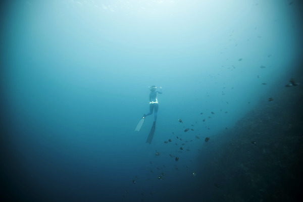포토 JPG 전신 여자 바다 한명 성인 뒷모습 30대 제주도 바닷속 수영 한국인 잠수부 성인여자한명만 수중사진 프리다이빙 국내포토 1 뷰포인트 한국 사람 동양인 장년 수중 수상스포츠 전문직 여자한명만 성인여자만 파일형식