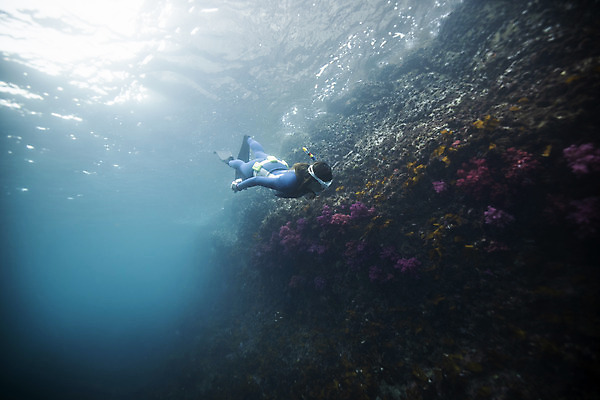 포토 JPG 전신 여자 바다 한명 성인 옆모습 30대 빛 제주도 바닷속 수영 한국인 잠수부 성인여자한명만 수중사진 프리다이빙 국내포토 1 뷰포인트 한국 사람 동양인 장년 수중 수상스포츠 전문직 여자한명만 성인여자만 파일형식